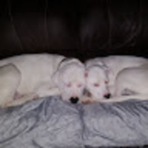 Meet your Posher, Jackie